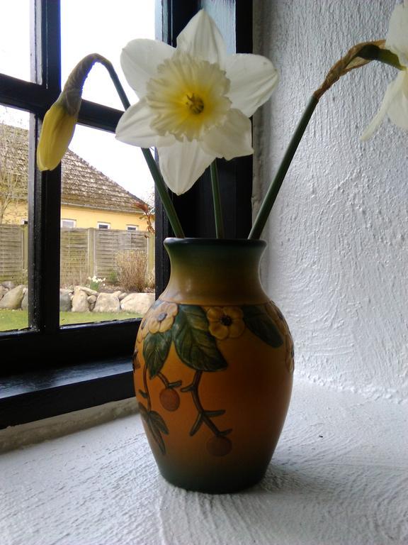 Dastrup Bed & Breakfast Viby Extérieur photo