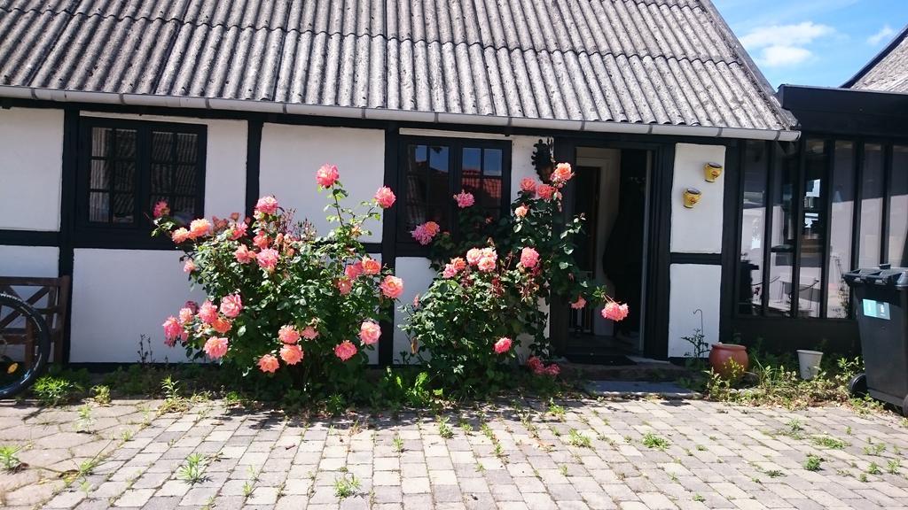 Dastrup Bed & Breakfast Viby Extérieur photo