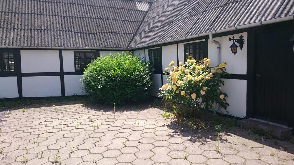 Dastrup Bed & Breakfast Viby Extérieur photo