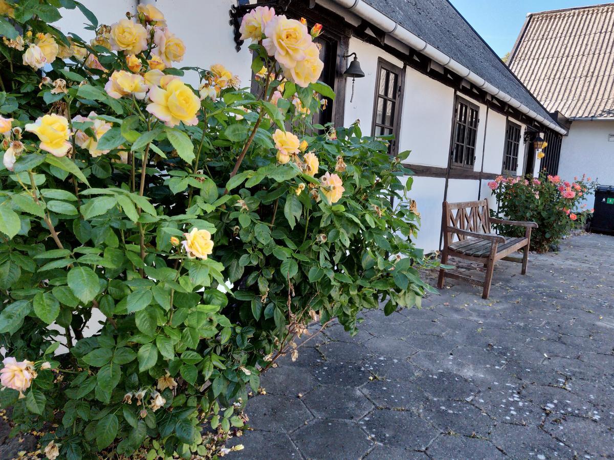 Dastrup Bed & Breakfast Viby Extérieur photo